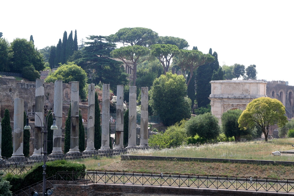 Columns, Temple of Venus and Rome